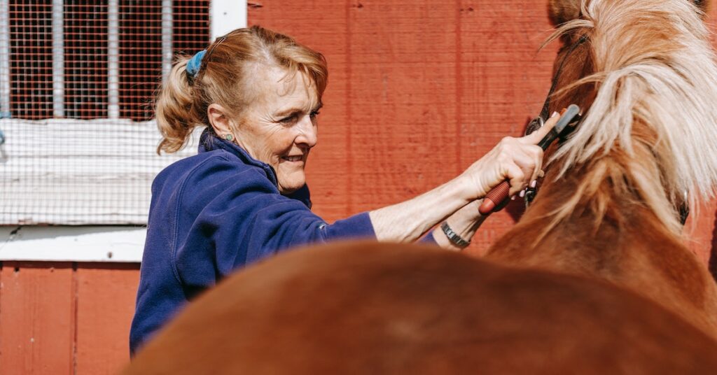 Horse Grooming Kit